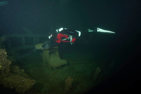 A diver examines the remains of a shipwreck overgrown with mussels, quagga triangle mussel