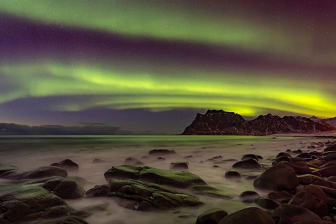 Aurora over the mountains and sea of Lofoten, Northern Lights, Northern Lights, Landscape, Leknes,