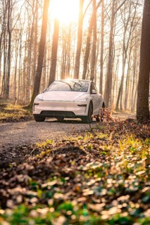 A white car driving on a forest road in sunlight, surrounded by trees and leaves on the ground,