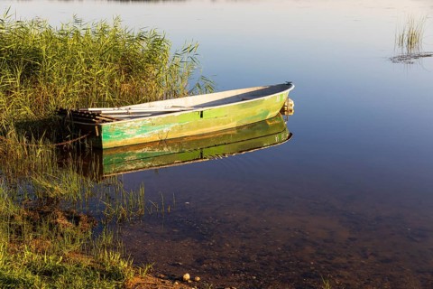 Rowing boat lying in the reeds at the old lido of the Quitzdorf dam, Upper Lusatia, Saxony, Germany