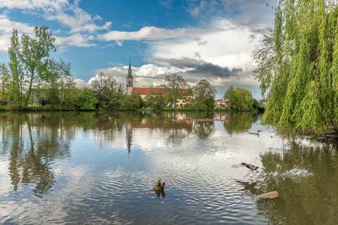 Huttenheim village reflected in a natural tree-lined river in spring. Bas Rhin, Alsace, France