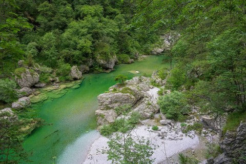 Emerald green river Pozze Smeraldine, Tramonti di Sopra, Province of Pordenone, Italy