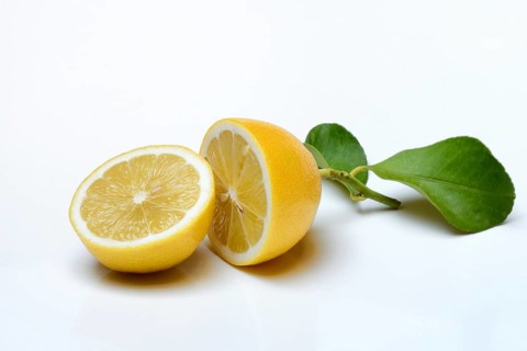 Lemon with leaf, cut in half, Citrus x limon