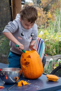 Denver, Colorado, A six-year-old boy carves a Halloween pumpkin