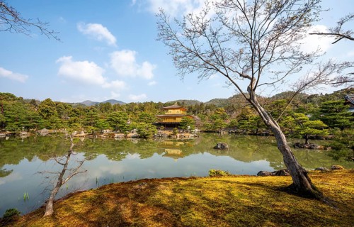Golden Pavilion reflected in pond, Japanese garden, Golden Pavilion Temple, Kinkaku-ji reliquary,