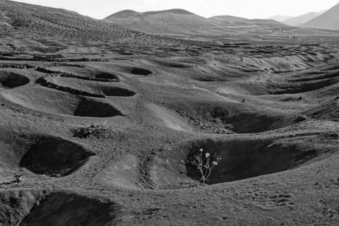 Typical viticulture in dry farming method, black and white, La Geria, Lanzarote, Canary Islands,