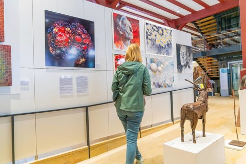 A woman looks at works of art and a sculpture in a gallery in the town hall, Calw, Black Forest,