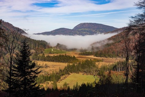 Early morning mist in the Egelsee nature reserve with a view of the Gaisberg, moorland, Puch near