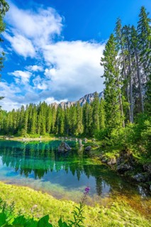 Emerald water reflecting latemar mountain range and pine forest under blue sky in summer at