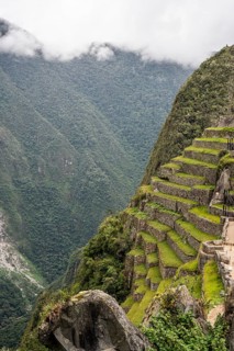 Terraces used for farming at Machu Picchu, Machu Picchu, Cusco Region, Peru