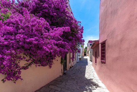 Greece, historic neighborhood of Plaka and Anafiotika in Athens with restaurants near Acropolis