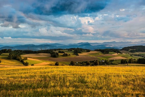 View of the Rhine Valley, with the Jura and the Swiss Alps in the background, sunset, near