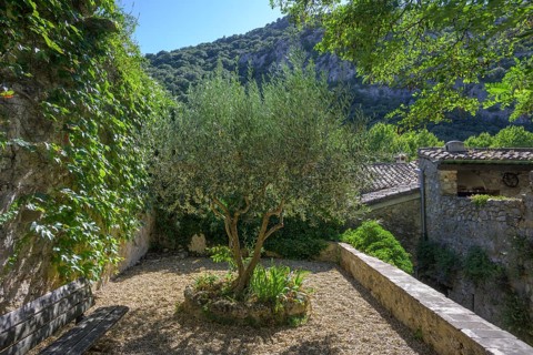 Small square with olive tree, Saint-Guilhem-le-Désert, Département Hérault, France