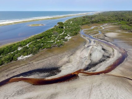 Landscape in Loango National Park, Parc National de Loango, Atlantic Ocean, aerial view,