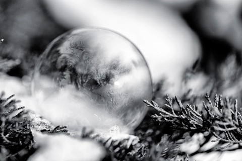 Freezing soap bubble in the snow, frost, monochrome, cold winter weather, close-up, Höxter,
