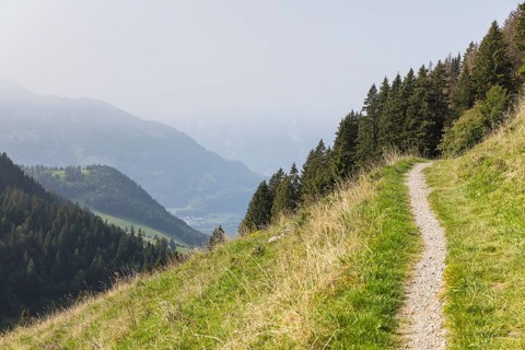 Meadow path on the slope of the Gulmen with a view over Lake Walen to Filzbach, Chapf on the left,