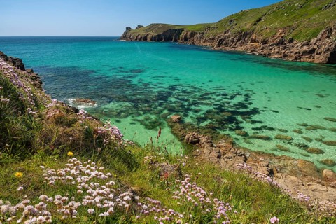 Coastal landscape. sandy beach beach and rocks in Nanjizal Bay or Nanjizal Beach. Beach carnations