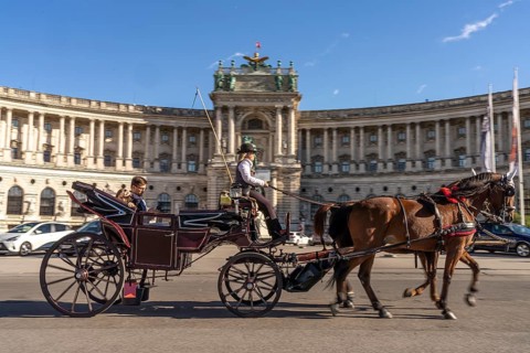 Horse-drawn carriage in front of the Neue Burg, part of the Vienna Hofburg Imperial Palace in
