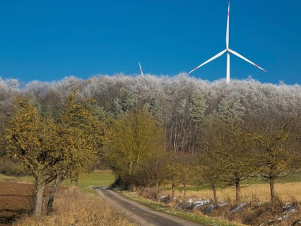 Wind turbines, in the middle of a hoarfrost covered forest, and in the foreground a farm track and