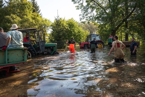 SCINAWA. POLAND - SEPTEMBER 21, 2024: Flood caused by heavy rainfall and river overflowing.