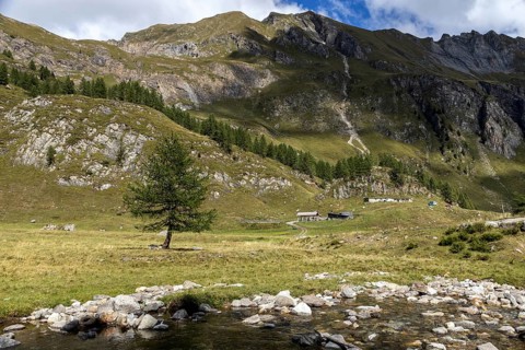 Sambuco valley, Vale Sambuco, behind Alpe Campo la Torba -Dazio and Ticino mountains, near Fusio,