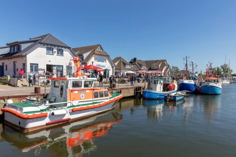 Harbour with fishing boats on the shore and various buildings in clear weather, Rügen, Hiddensee