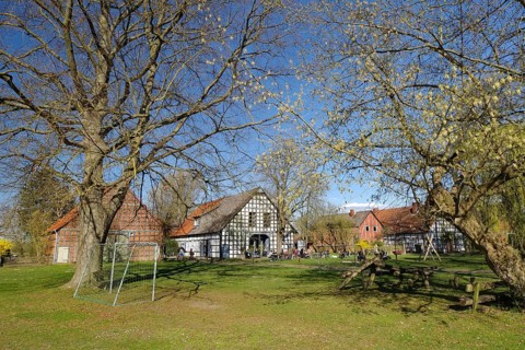 Half-timbered houses and trees on a green meadow on a sunny day, Rundlingsdorf, Wendland, Lower
