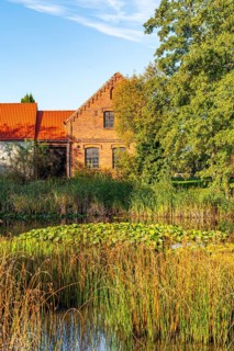 Village pond with reeds and water lilies in front of a brick farmstead, Zeuden, Fläming,