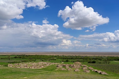 Reeds (poales) set out to dry, Fertorákos, Lake Neusiedl National Park, Hungary