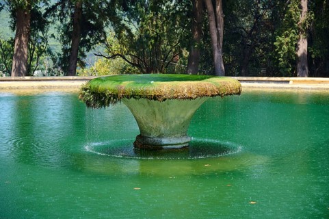 Fountain with slightly moss-covered edge and water in the garden, surrounded by green nature and