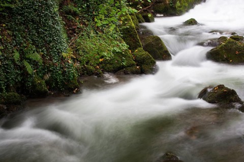 Mountain stream, Zellerache flows over moss-covered stones through the Helenental, Mondsee,
