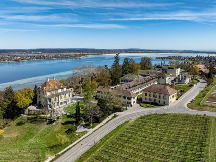 Aerial view of Arenenberg with Arenenberg Castle, Napoleon Museum on western Lake Constance, on the