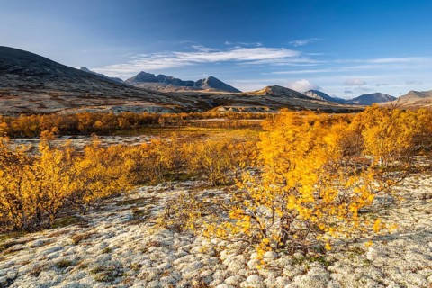 Autumn landscape in Rondane National Park, mountains Høgronden, Midtronden and Digerronden Dørålen,