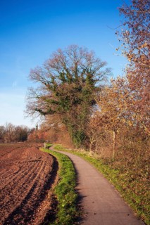 Nature reserve, hiking trail, cycle path, Smeerling, Onstwedde, Groningen, Netherlands