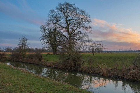 View along a ditch of trees without leaves at sunset, Kirchlinteln, Verden, Aller Leine Valley,