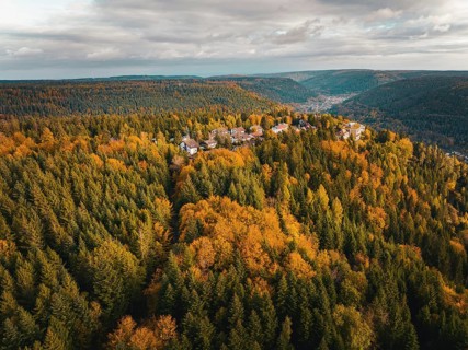 Aerial view of the Sommerberg in the autumn forest, Bad Wildbad, Black Forest, Germany