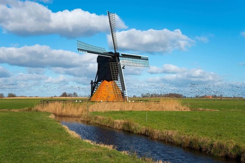 De Jansmolen or De Modden, Hollow trestle mill, Rijksmonumente, Flock of birds in the background,