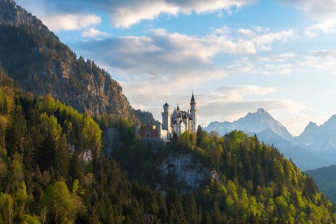Castle embedded in a lush forest backdrop in the sunshine, Neuschwanstein, Schwangau near Füssen,