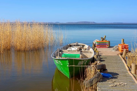 Fishing boat, rowboat along reed bed near Warthe, Rankwitz at the Lieper Winkel on the island of