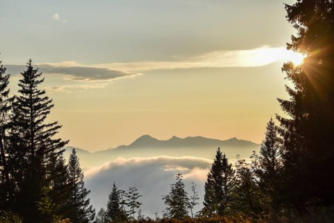 View from the Gurnwandkopf to the Geigelstein in the Chiemgau Alps, Bavaria, Germany