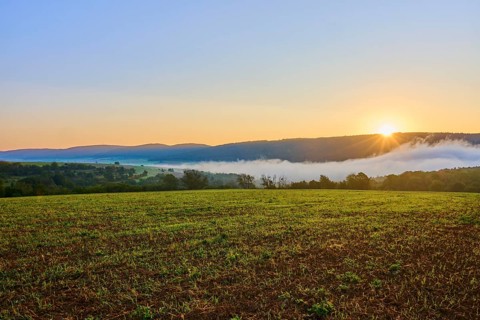 Calm morning scene with sunrise over fog-covered hills and grain field, Großheubach, Miltenberg,