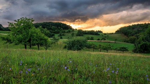 Landscape in the Odenwald with trees, meadows, forest and hills. Sunset. Lampenhain,