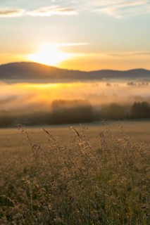 Oberlausitzer Bergland with fog in the morning light, view from Callenberg, Schirgiswalde-Kirschau,