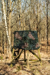 Hunting tower in forest in early spring in Sjöbo municipality, Skåne county, Sweden, Scandinavia