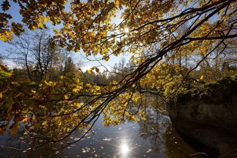 Fish pond with granite rocks and autumn-coloured oak in the Blockheide nature park Park near Gmünd,