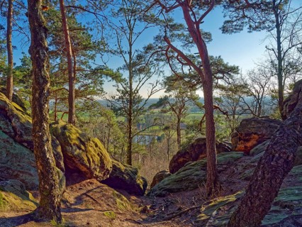 The Dörenther Cliffs, boulders and trees rooted into the rock, in the UNESCO Geopark TERRA vita in
