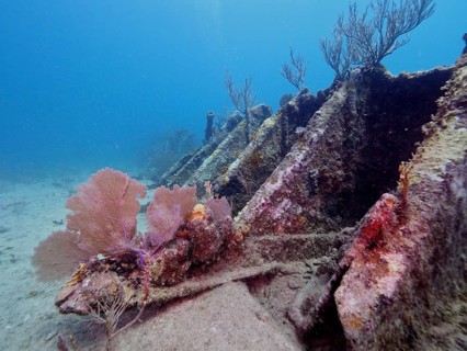 A marine landscape with corals and the wreck of the Benwood, surrounded by clear water, dive site