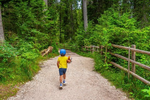 Young boy enjoying a walk in a lush green forest, holding his plush toy, exploring nature's beauty