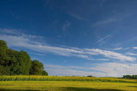 Flowering rape field, (Brassica napus) cloudy sky, Beerbach, Middle Franconia, Bavaria, Germany