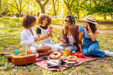 Four female friends having fun, eating, drinking and chatting, sitting on blanket in park during a